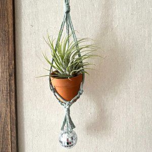 Sage Disco Air Plant Hanger